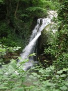 Cascade