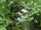 Ruisseau